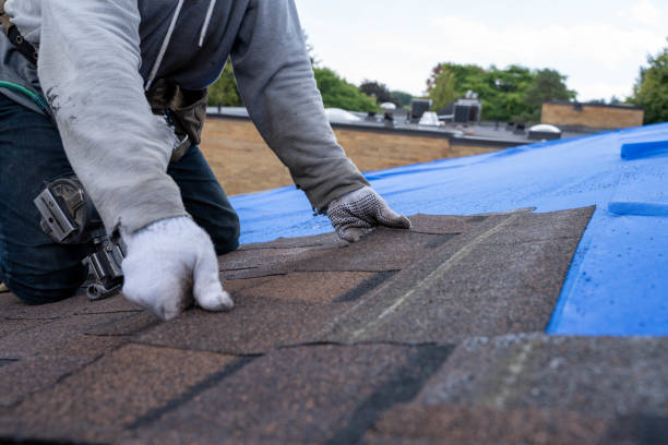 Best Roof Restoration Services  in Cottonde, AL