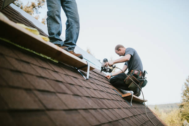 Best Metal Roofing Contractor  in Cottonde, AL