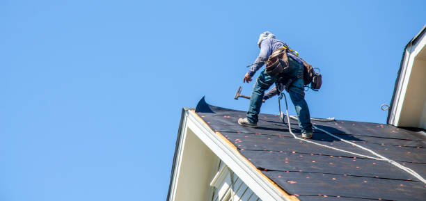 Best Roof Gutter Cleaning  in Cottonde, AL